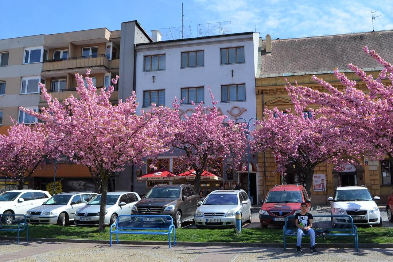 Hotel Posta Decin Dış mekan fotoğraf